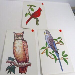 Peabody Birds (3) cards Vintage 1960s ANIMALS Artwork Owl, Cardinal, Parakeet